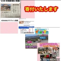 【猫おやつ】いなば焼ミックス　5袋／無添加良品コチ　5袋　合計10袋の画像