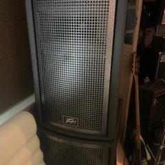 peavey   QW 2F 　モニター スピーカー　スタジオ　...