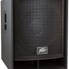 Peavey QW 118　Subwoofer モニター スピー...