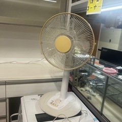 センフキ