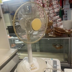 センフキの画像