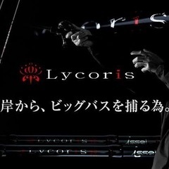 【バス釣りセット】Lycoris78HとスティーズAⅡTW 1000H