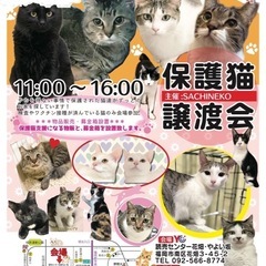6/22さち猫福岡譲渡会　