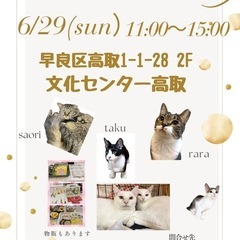 6/29 さち猫福岡譲渡会　文化センター高取