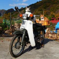 山形ご出身の方　宜しくお願い致します