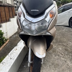 pcx28の画像