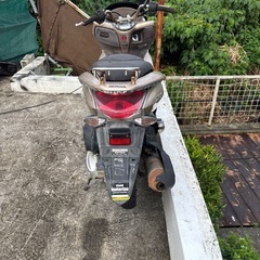 pcx28の画像