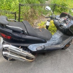 マジェスティsg03jの画像