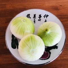 新玉ねぎプレゼント🎁