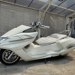 マグザム250  21J  カスタム　メッキ　 