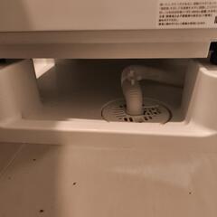 [2024製/購入から2ヶ月]ハイセンス 7Kg 洗濯機 風乾燥機能あり の画像
