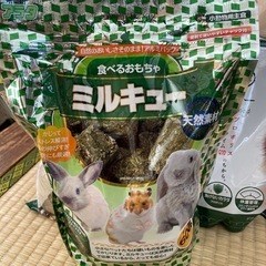 デグー　うさぎ　モルモット　小動物　餌　ミルキュー　デグーサンド...