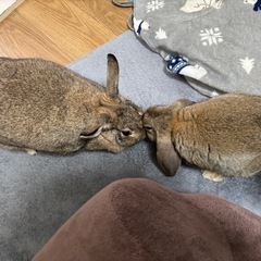 ママ友になってください♡