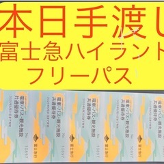 本日手渡し明日間に合う　富士急ハイランド、フリーパス　複数組購入...