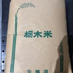 令和6年産 栃木県産コシヒカリ1等米 30kg玄米