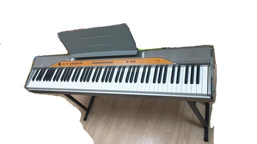 casio privia px-110