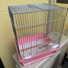 受け渡し者決定/鳥かご/非対面可の画像