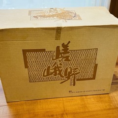 【未使用品】アイスペール＆ウォーターピッチャーセット　トレー付　嵯峨野　の画像