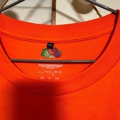 フルーツオブザルーム Tシャツの画像