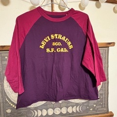 リーバイスtシャツ