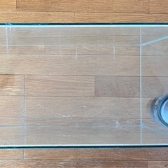Tetra 
600cmオーバフローガラス水槽の画像