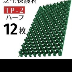 ターフパーキング