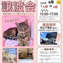 臆病なりんちゃん💖トライアルでゆっくりお付き合いください − 福岡県
