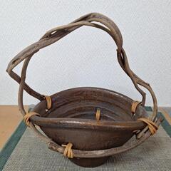 備前焼風の鉢(未使用)&斑入りのフウチソウ•シダの苗