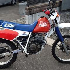 HONDA XLR250R MD20 オフロードバイク　ホンダ　...
