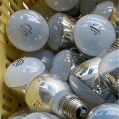 ビニールハウスの電照設備の電球