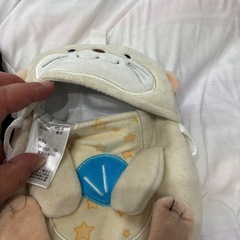 保冷剤ケース？リュック型の画像