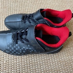 サイズ22.5