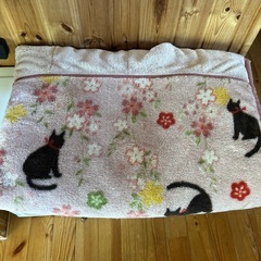 決まりました！シングル毛布 ☆しまむら☆中古品