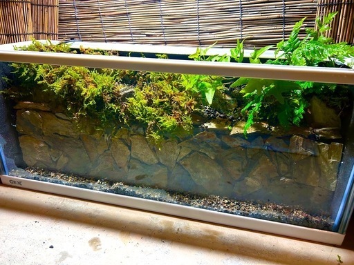水の流れる滝テラリウム水槽