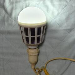 LED、電撃切り換え電球
