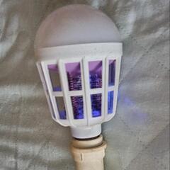 LED、電撃切り換え電球の画像