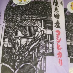 常陸太田産コシヒカリ