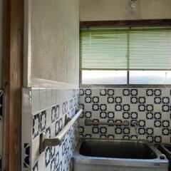 ✨️礼金無料！閑静な住宅地、ペットと共に。 - 不動産