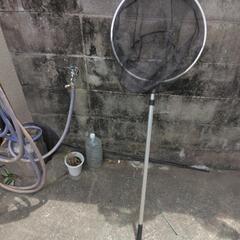 網の画像