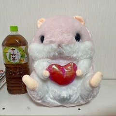 ハムスターぬいぐるみ(決まりました)