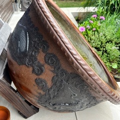 金魚鉢 すいれん鉢 メダカ鉢 水鉢 