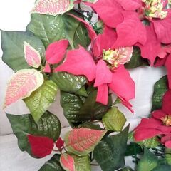 ☆ポインセチア リース 造花の画像