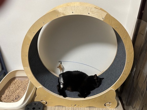 人気のクリスマスアイテムがいっぱい！ キャットホイール猫回し車 110センチ (モモ) 山田のその他の中古 おもちゃ