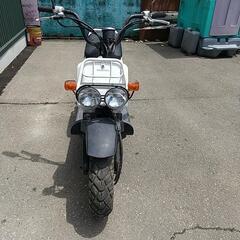 ホンダ  ズーマー