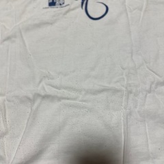Mサイズ 沖縄Tシャツの画像
