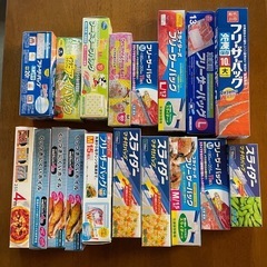 【受付終了 】   フリーザーバック他