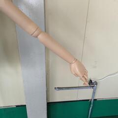 レディースマネキン２体の画像