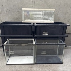 水槽：睡蓮鉢：NVBOX