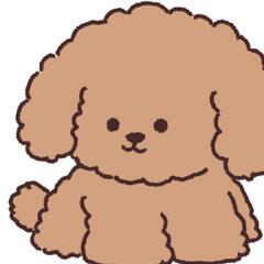 美容モデル募集✩