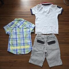 TOMMY HILFIGER半袖ポロシャツとT&C 半袖シャツの画像